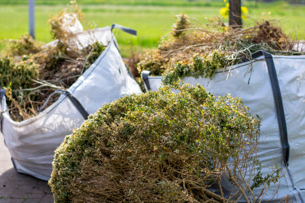 Best Dumpster Rental Services  in Raubsville, PA